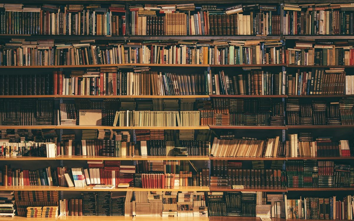 Estantes de una biblioteca con libros de referencia