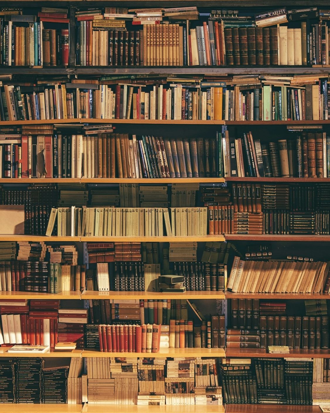 Estantes de una biblioteca con libros de referencia