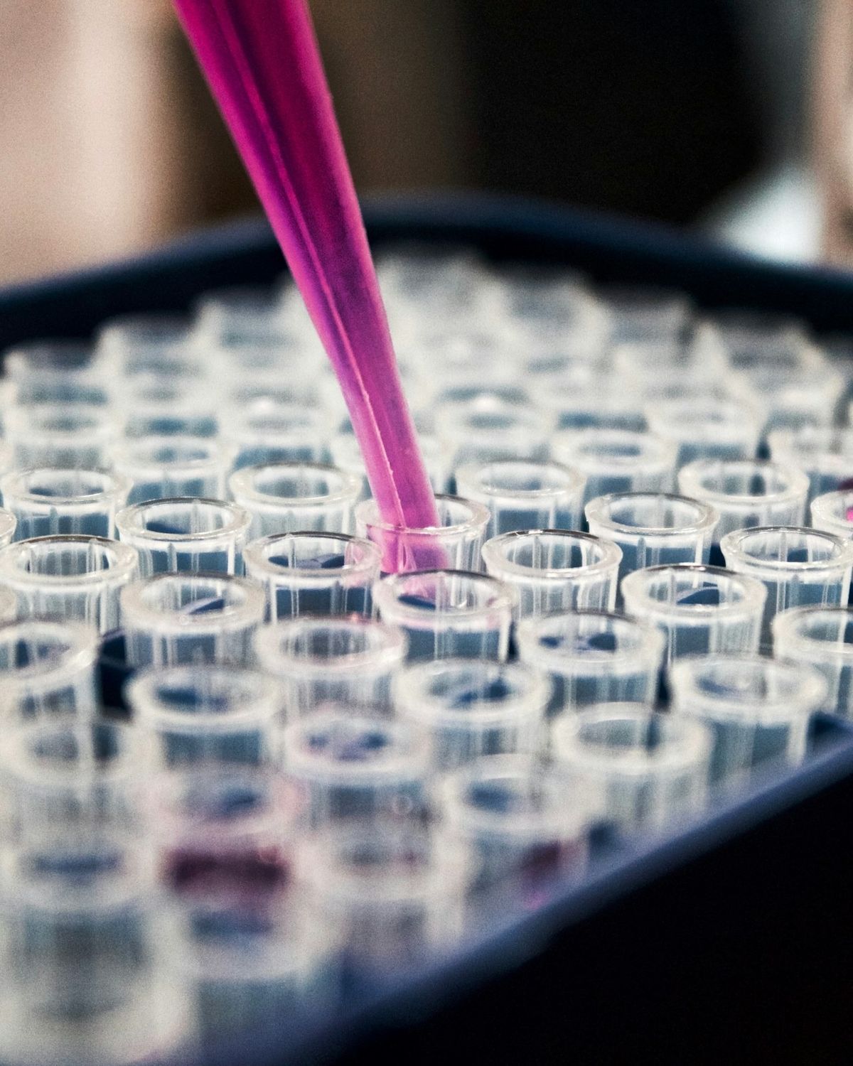 Pipeta y tubos de ensayo en un laboratorio de desarrollo de procesos químicos